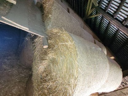 Bild 2:Stroh in sehr guter Qualität