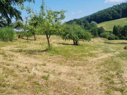Heu aus Streuobstwiese