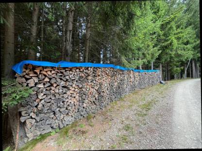 Brennholz