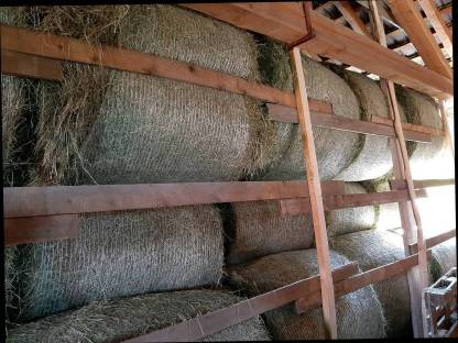 Bild 2:Verkaufe Heuballen