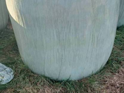 Bild 3:Ballen günstig abzugeben