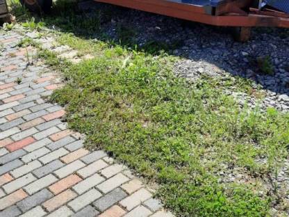 Bild 3:Anhänger, Bagger Transporter, mobile Bewässerung