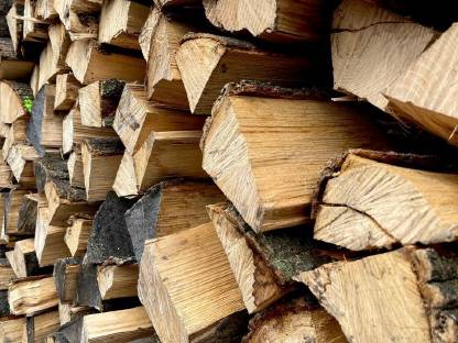 Bild 2:Brennholz Esche und Buche