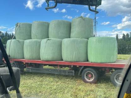 Bild 5:Kleegras, GPS, Maisballen