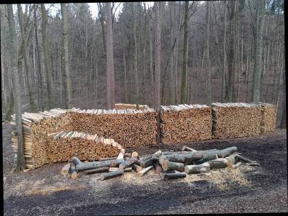 Bild 2:Buchen Brennholz