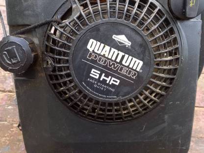 Rasenmähermotor Briggs & Stratton