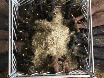 Bild 5:Futtergatter für Schafe und Ziegen