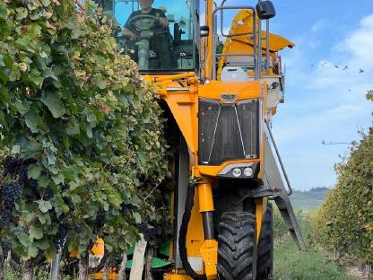 Lohnlese mit Gregoire Gl7.4