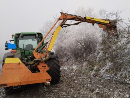 Bild 3:Astschneider, Böschungsmulcher Spearhead