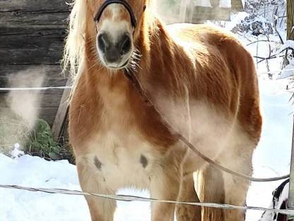 Bild 2:Einstellplätze