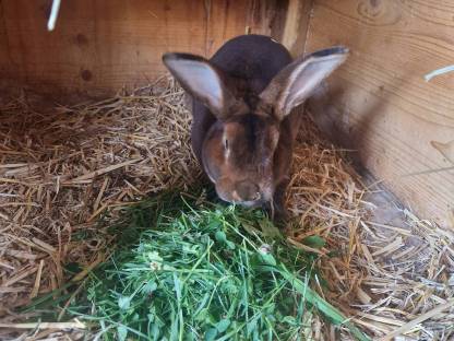 Bild 4:Verkauf  Gastro Rex