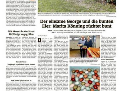 Bild 8:Bruteier Buntleger, Grünleger, Blauleger, Mooshühner, Maran