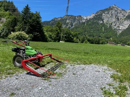 Rapid Euro 4 inkl. Mulcher, Doppelmesser, Heumax, Anhänger