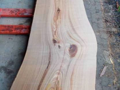 Bild 2:Holzbohlen - Eiche, Esche, Kastanie, Nuss, Kirsche