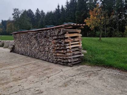 Bild 2:Eschenscheiter