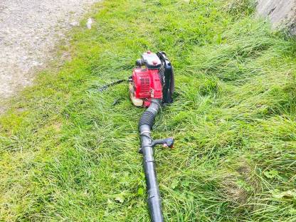 Bild 4:Heubläser EBZ8001