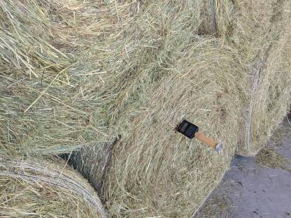 Bild 2:Bio Heuballen