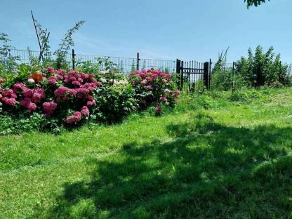 Gemüsegarten