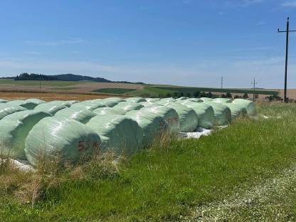 Grassilage