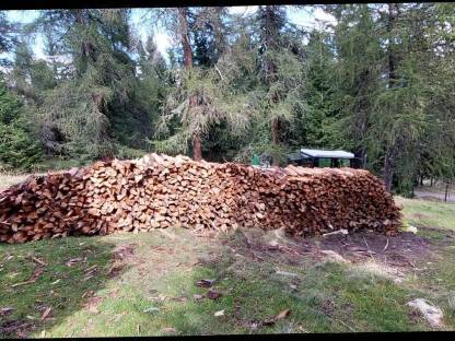 Bild 2:Brennholz