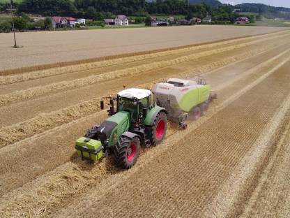 Bild 4:Stroh in Quaderballen, Ernte 2025