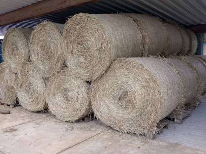Bild 2:Heu