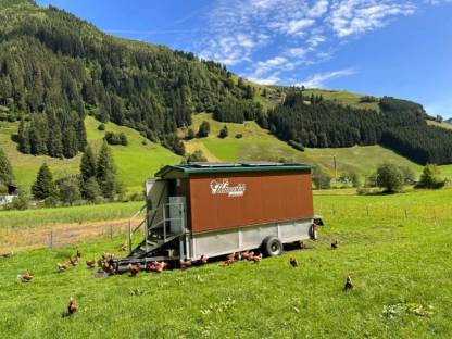 Mobiler Hühnerstall MBHS 200