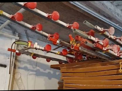 Bild 4:Aufstallung für Legehennen