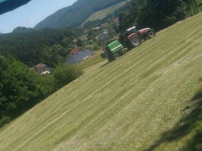 Bild 2:Heu 1. Schnitt 2025