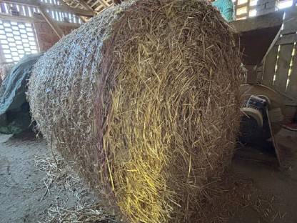 Bild 2:Strohballen