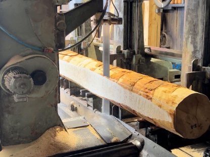 Bild 8:Bandsäge Primultini SG 1300 / CFA