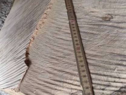 Bild 3:Eschenholz Holzscheibe für Tischplatte