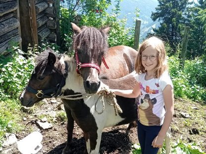 Bild 5:Pony Hengstfohlen