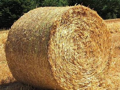 Bild 2:Stroh-Rundballen und Kleinballen