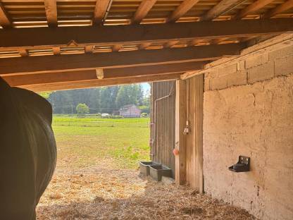 Bild 3:Einstellplatz in Offenstallhaltung