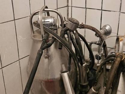 Bild 4:Melkkannen plus Tankwagen 160l