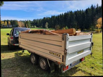 Bild 3:Brennholz weich