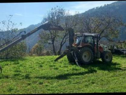 Bild 5:Steyr CVT 6175