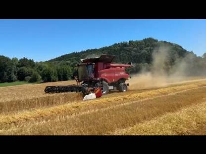 Lohndrusch mit Case Axial Flow 6150