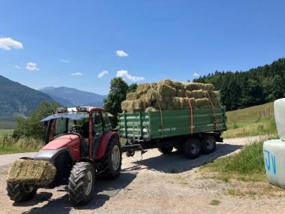 Kleine Heuballen zu verkaufen