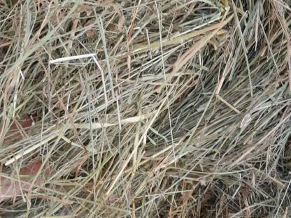 Bild 2:Bio Heuballen 1. Schnitt 2025