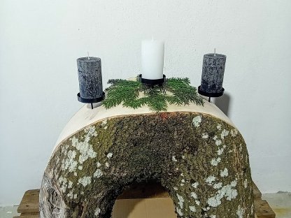 Astgabel Esche