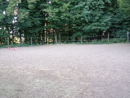Bild 3:Einstellplatz Pferd