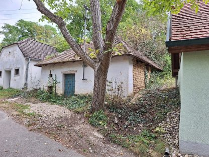 Bild 2:Weinkeller in Immendorf zu verkaufen