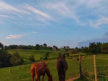 Bild 3:Einstellplatz