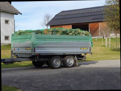 Brennholz weich