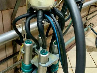 Bild 4:Westfalia Melkstand 2x4 Fischgräten mit Milchmengenmessung