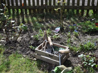 Bild 3:Vorarlberg, Tirol, Alpenraum: suchen kl. Hof (Miete/Pacht)