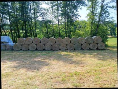 Bild 2:Heuballen