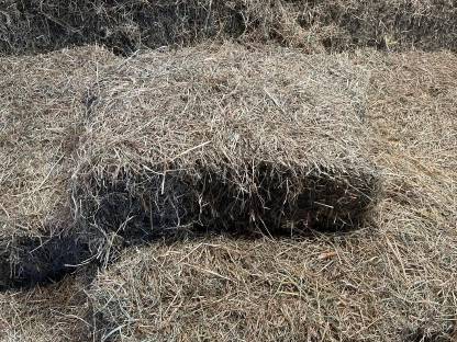 Bild 2:Heu HD Ballen